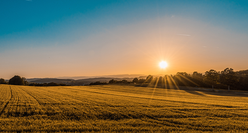 不朽情缘官网登录入口使命